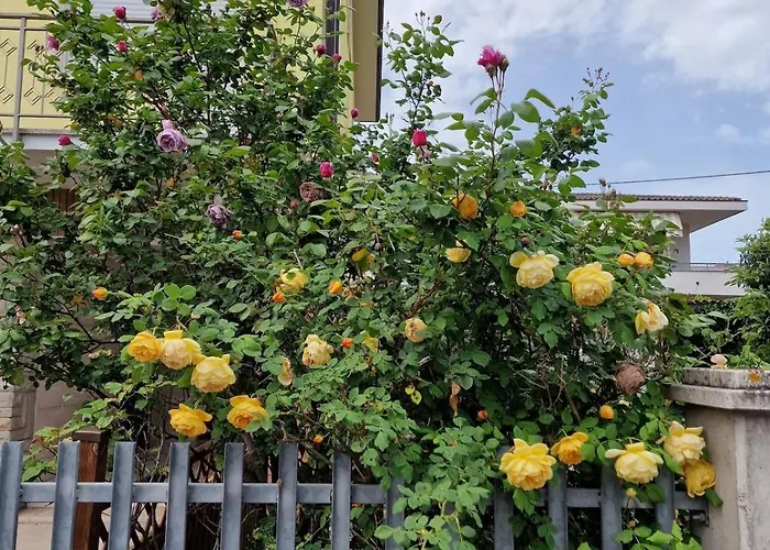 Appartement Casa Delle Rose - Sulla Via Per Assisi